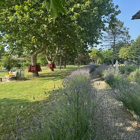 Paciu Maison - Residenza Immersiva