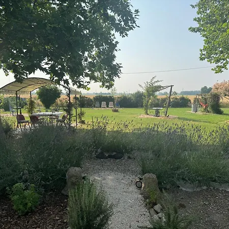 Paciu Maison - Dimora D'arte